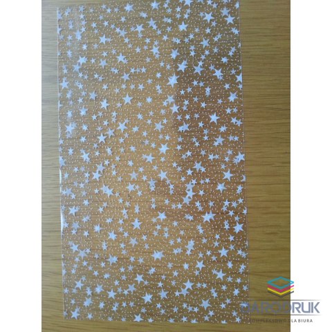Torba prezentowa torebka folia [mm:] 200x350 (M2)