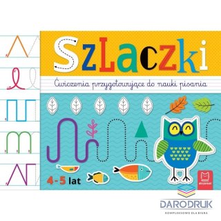 Aksjomat Książeczka edukacyjna Szlaczki. Ćwiczenia przygotowujące do nauki pisania 4-5 lat Aksjomat