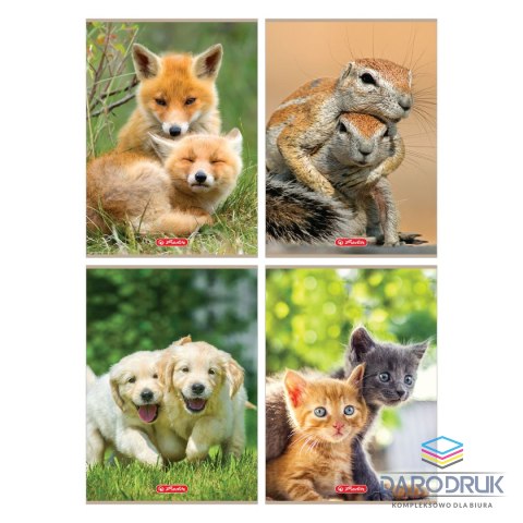 Herlitz Zeszyt A4 Animals 9583097 32k. 70g linia kolor Herlitz (400197965)
