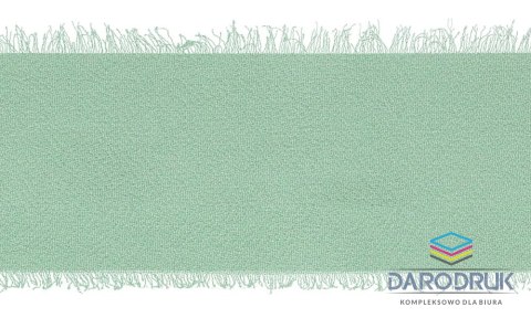 Titanum Wstążka Craft-Fun Series szyfonowa strzępiona 40x10 [mm x m] szałwiowy Titanum (WJ40-10-109)