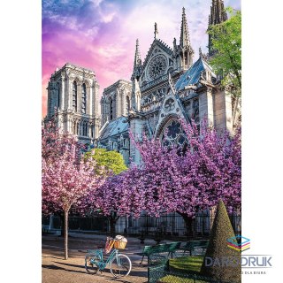 Trefl Puzzle Premium Plus Katedra Notre-Dame 1000 el. Trefl (10858)