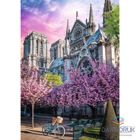 Trefl Puzzle Premium Plus Katedra Notre-Dame 1000 el. Trefl (10858)