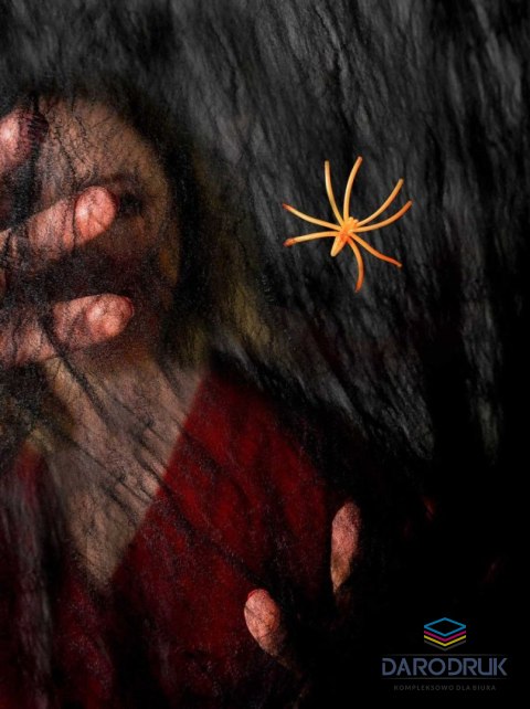 Arpex Ozdoba halloweenowa Czarna pajęczyna z pająkiem Arpex (HA7957)