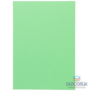Canson Brystol A4 zielony jasny 185g 50k Canson (200040172)