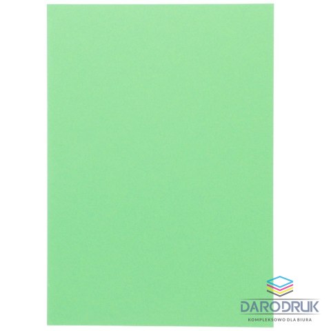 Canson Brystol A4 zielony jasny 185g 50k Canson (200040172)