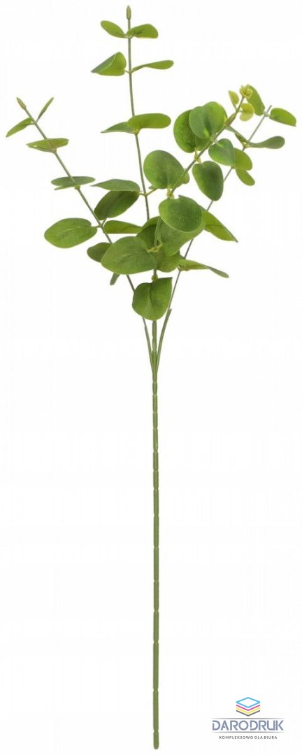 Home And Garden Kwiaty gałązka eukaliptus 63 cm Home And Garden (2006)