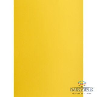 Creatinio Brystol A1 ciemnożółty 160g [mm:] 610x860 Creatinio (400149526)