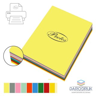 Protos Papier kolorowy A4 mix 500k. 80g Protos