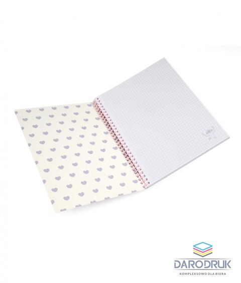 Patio Kołobrulion B5 Disney 100k. 80g krata Patio (75026PTR)