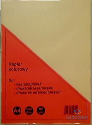 Rogatin Papier kolorowy A4 mix 80g Rogatin