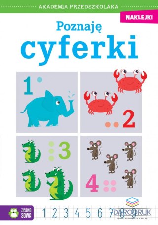 Zielona Sowa Książeczka edukacyjna Akademia przedszkolaka. Poznaję cyferki Zielona Sowa