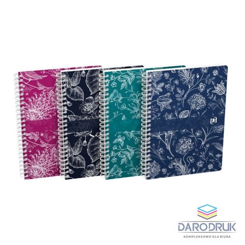 Oxford Notes (notatnik) A5 romance 60k. krata Oxford (400189441)