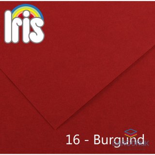 Canson Brystol Iris 16 A4 burgundowy 120g 100k Canson (200040015)