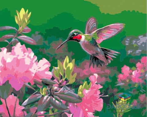 Flamingo Line Zestaw kreatywny Malowanie po numerach 40x50cm Koliber Flamingo Line (FSY213)