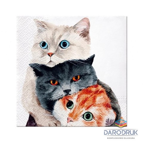 Paw Serwetki Lunch Better Together mix nadruk bibuła [mm:] 330x330 Paw (SDL131500)