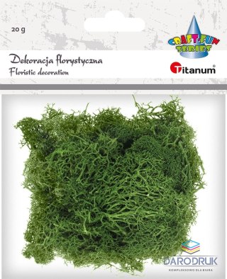 Titanum Dekoracja Craft-Fun Series dekoracja florystyczna mech chrobotek Titanum (2324045 DG)