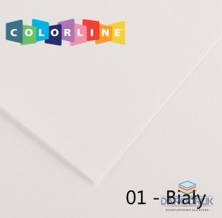 Canson Brystol Colorline 01 biały 150g 10k [mm:] 500x650 Canson (200041377)