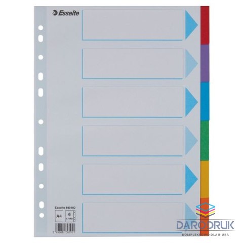 Esselte Przekładka czysta MULTIPERFOROWANE A4 mix kolorów 160g 6k Esselte (100192)