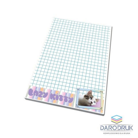 Ev-corp Notes (notatnik) A5 50k. krata Ev-corp (BB24221849)