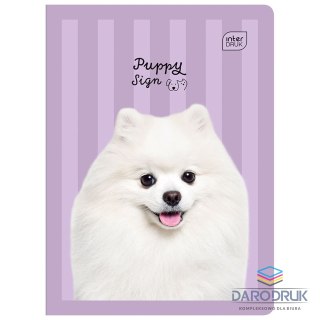 Interdruk Zeszyt A5 16k. 70g krata Interdruk