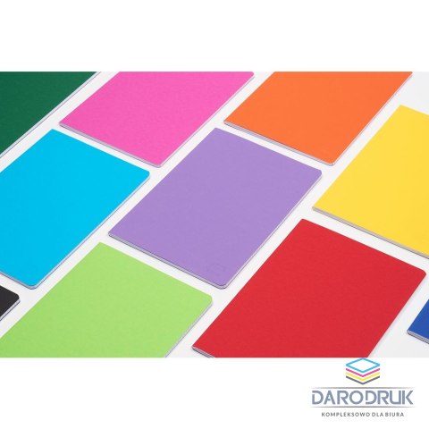 Herlitz Zeszyt A4 rAINBOW 60k. krata Herlitz (400196856)