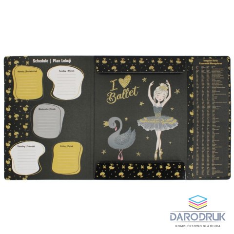 Starpak Teczka kartonowa na gumkę balerina A4 różne Starpak (491061)