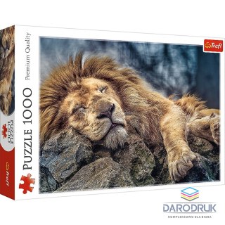 Trefl Puzzle Śpiący lew 1000 el. Trefl (10447)