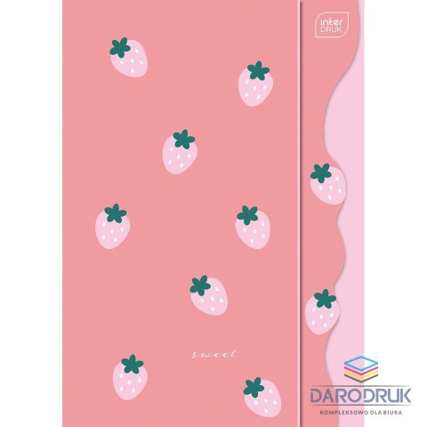 Interdruk Teczka kartonowa na gumkę SHAPE GIRLS B4+ mix Interdruk (5902277313898)