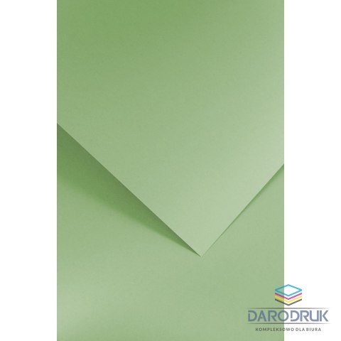 Galeria Papieru Papier ozdobny (wizytówkowy) A4 gładki zielony jasny 210g Galeria Papieru (205506)