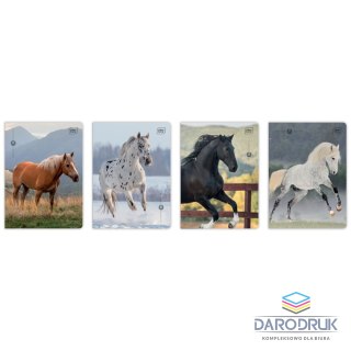 Interdruk Zeszyt A5 WILD HORSES 32k. 70g linia kolor Interdruk