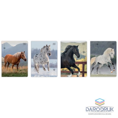 Interdruk Zeszyt A5 WILD HORSES 32k. 70g linia kolor Interdruk
