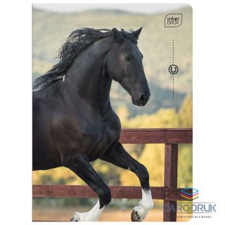 Interdruk Zeszyt A5 WILD HORSES 32k. 70g linia kolor Interdruk