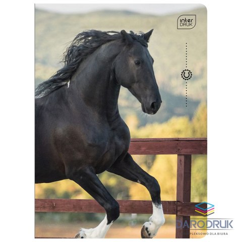 Interdruk Zeszyt A5 WILD HORSES 32k. 70g linia kolor Interdruk