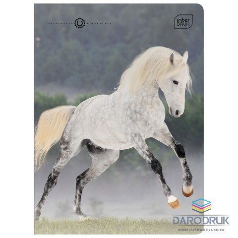 Interdruk Zeszyt A5 WILD HORSES 32k. 70g linia kolor Interdruk