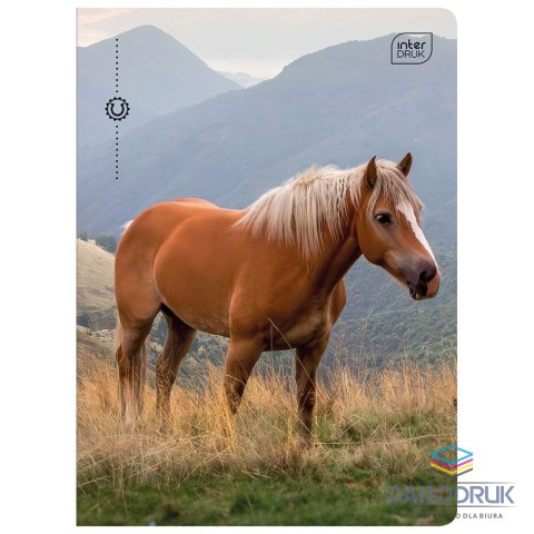 Interdruk Zeszyt A5 WILD HORSES 32k. 70g linia kolor Interdruk