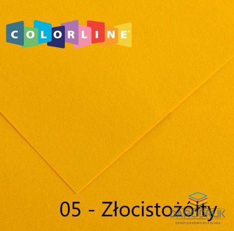 Canson Brystol Colorline 05 złocistożółty 10k [mm:] 500x650 Canson (200041381)