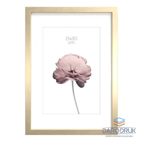 Styler Ramka Prague PC [mm:] 210x300 Styler