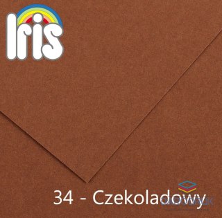 Canson Brystol Iris 34 A3 czekoladowy 185g 50k [mm:] 297x420 Canson (200040213)