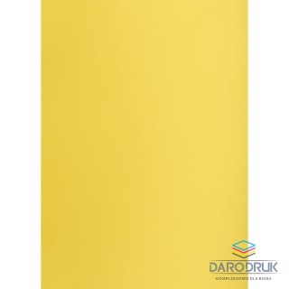 Creatinio Brystol A1 żółty 160g 25k [mm:] 610x860 Creatinio (400149553)