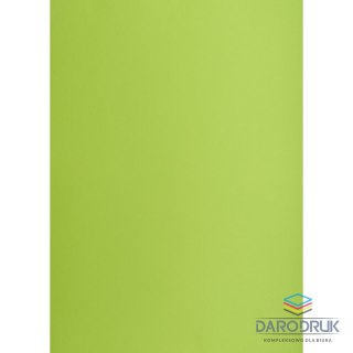 Creatinio Brystol A3 jasnozielony 160g 25k [mm:] 297x420 Creatinio (400150240)