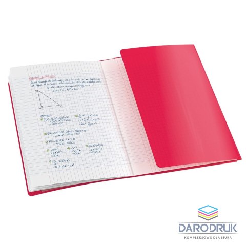 Oxford Zeszyt A4 EASYBOOK 60k. 90g linia Oxford (400196700)