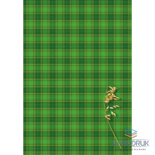 Kreska Brulion A4 160k. krata Kreska
