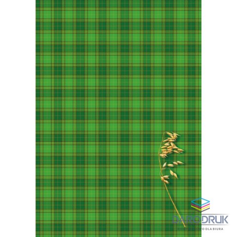 Kreska Brulion A4 160k. krata Kreska