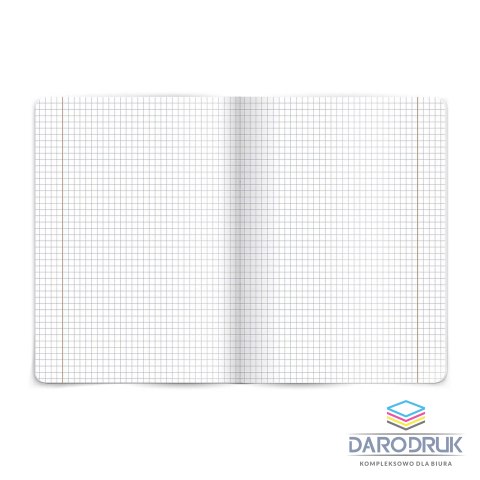 TOP-2000 Zeszyt A5 fizyka 60k. 80g krata [mm:] 150x210 TOP-2000 (400160589)