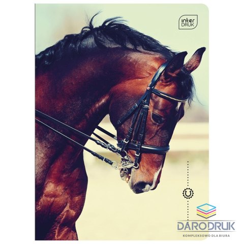 Interdruk Zeszyt A5 16k. 70g trzy linie Interdruk