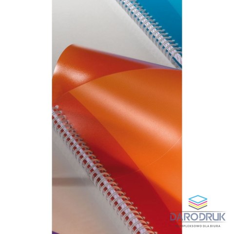 Oxford Kołozeszyt (kołonotatnik) A4 My Colours 90k. 90g krata Oxford (100101864)