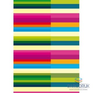Kreska Brulion A6 64k. krata Kreska