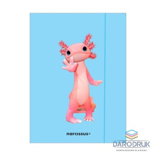 Narcissus Teczka kartonowa na gumkę Teddies& Aksolotl A4 niebieski 270g Narcissus