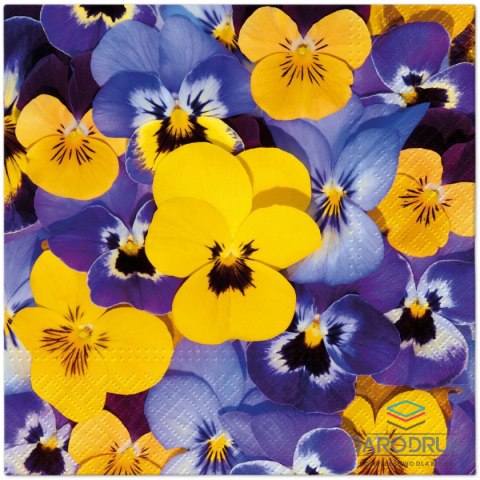 Paw Serwetki TaT Looking Pansies mix bibuła [mm:] 330x330 Paw (TL126500)