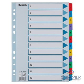 Esselte Przekładka numeryczna Mylar kartonowe A4 mix kolorów 160g 12k 1-12 Esselte (100162)